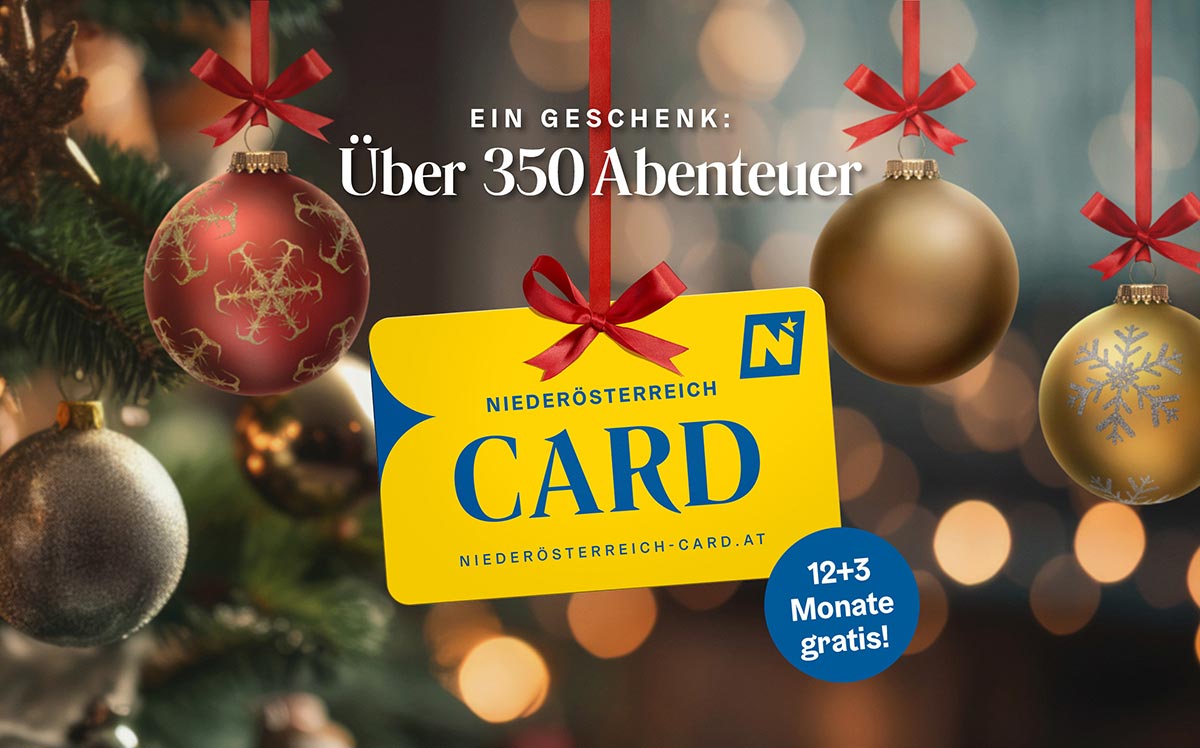 Niederösterreich-CARD